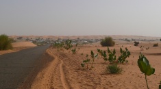 Pohled vesnice cesta z Nouakchottu do Alegu
